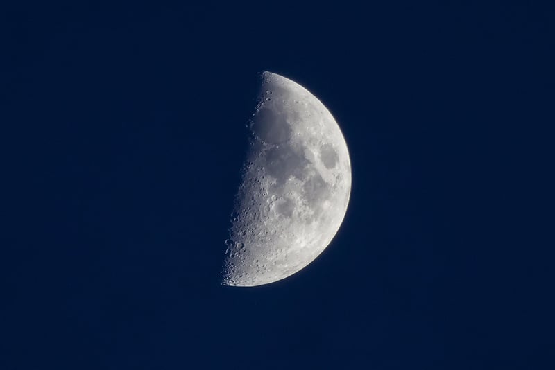 Moon Phase Treats