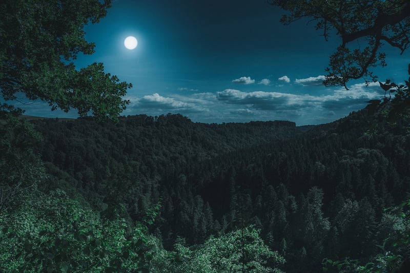 Moon Phase Treats